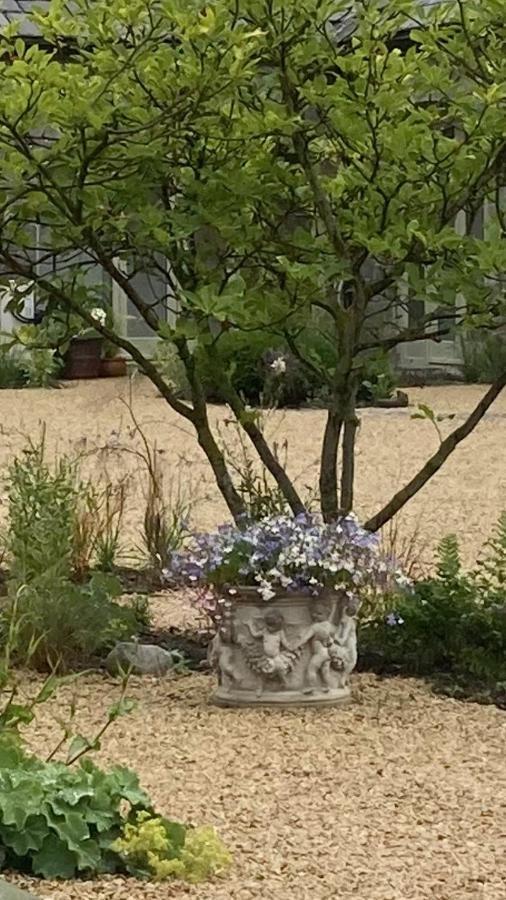 The Garden Rooms At The Courtyard,Townley Hall โดรฮาดา ภายนอก รูปภาพ